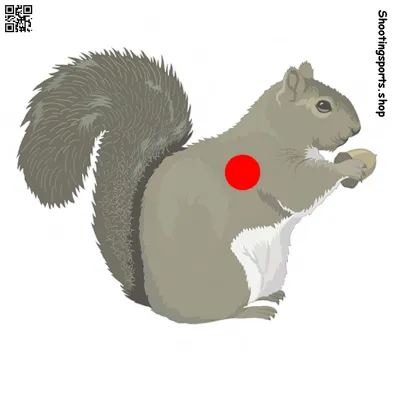 Squirrel Targets